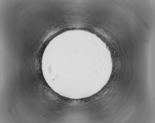 X0000111381160200908211334