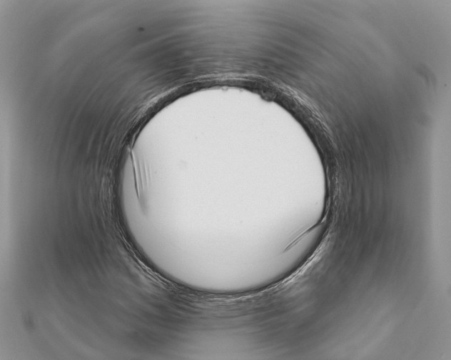 X0000111381161200908211334