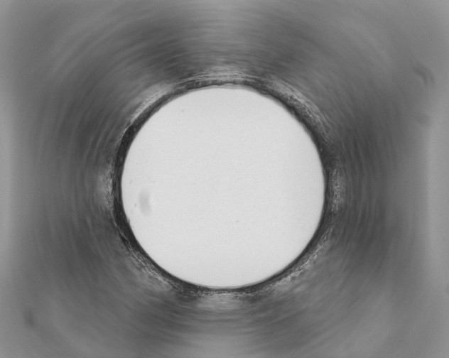 X0000111381162200908211334