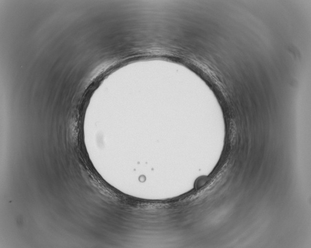 X0000111381163200908211334