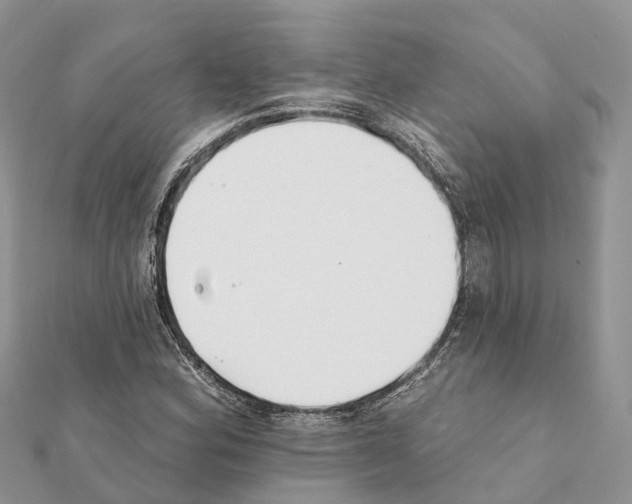 X0000111381164200908211333