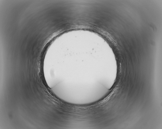 X0000111381165200908211333