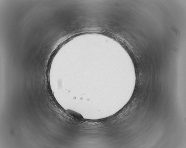 X0000111381168200908211333