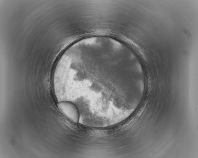 X0000111381170200908211333