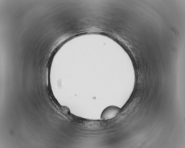 X0000111381171200908211333