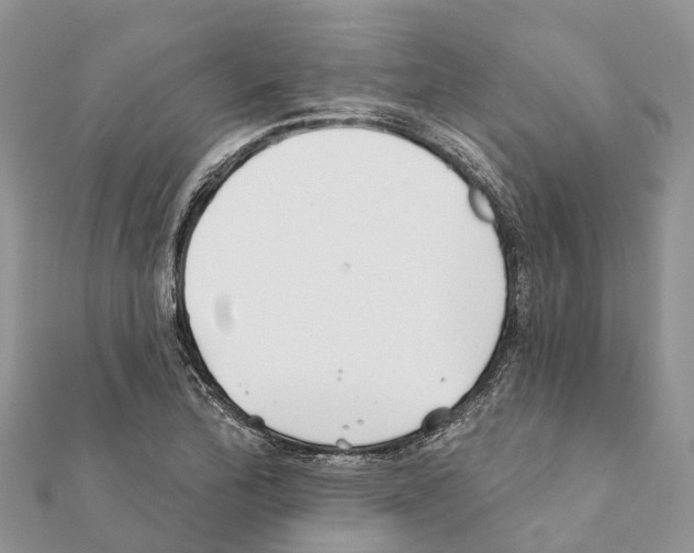 X0000111381172200908211333