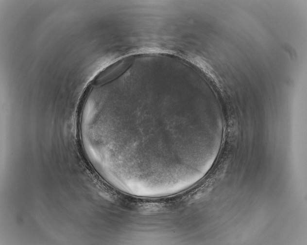 X0000111381173200908211333