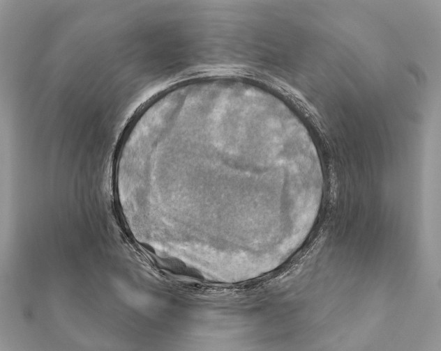 X0000111381174200908211333