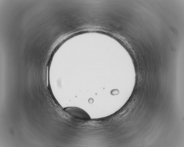 X0000111381175200908211333