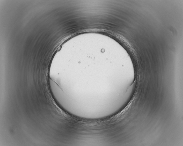 X0000111381177200908211333