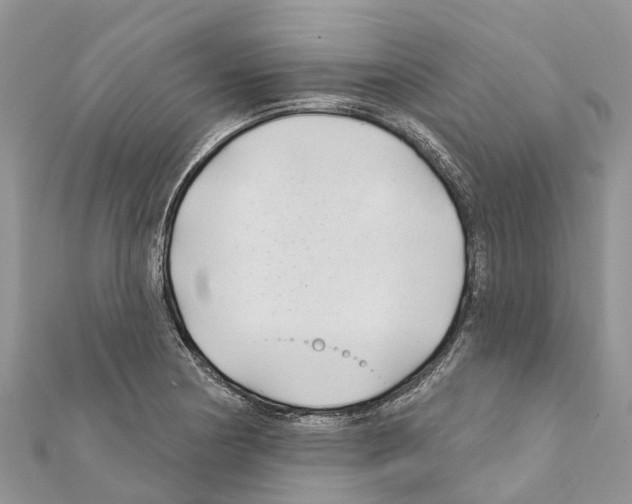 X0000111381178200908211333