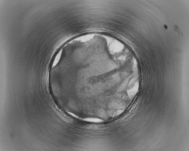 X0000111381179200908211333