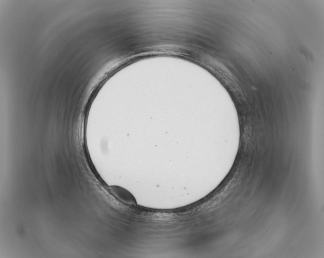 X0000111381180200908211333