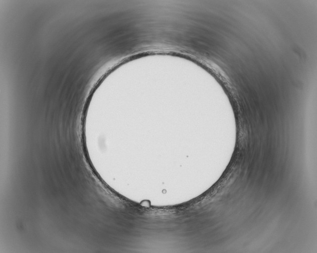 X0000111381183200908211333