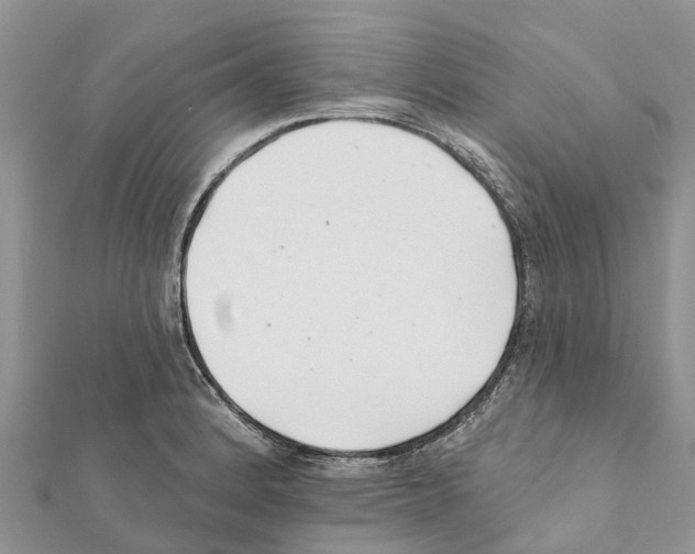 X0000111381184200908211333