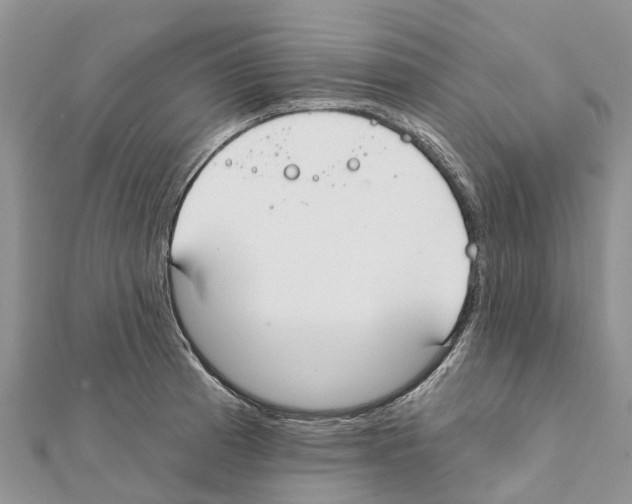 X0000111381185200908211333