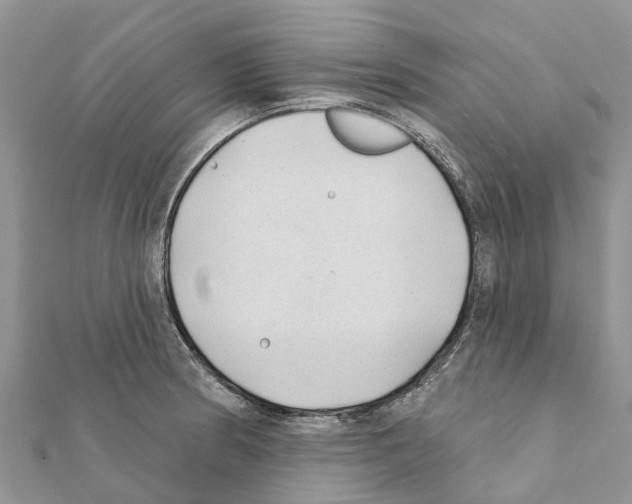 X0000111381186200908211333