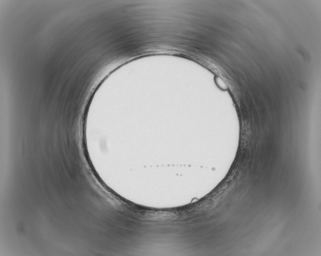 X0000111381187200908211333