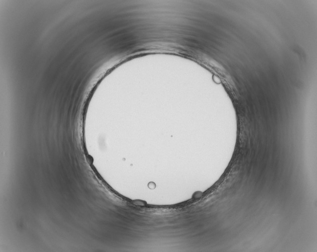 X0000111381188200908211333