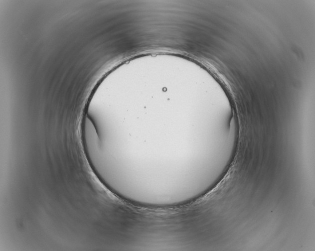 X0000111381189200908211333