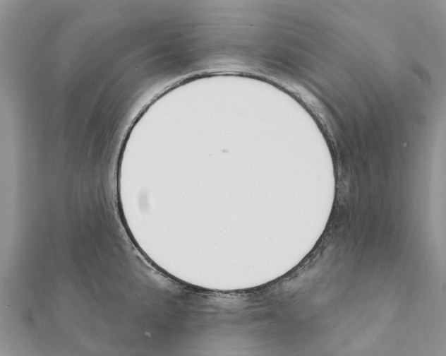 X0000111381191200908211333