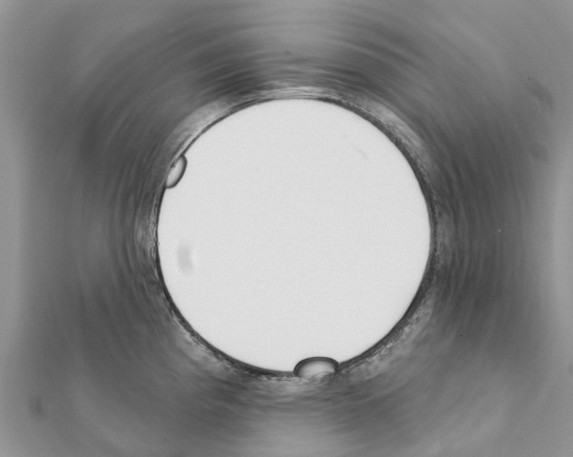 X0000111381193200908211333