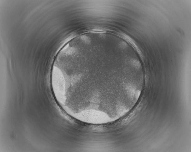 X0000111381194200908211333