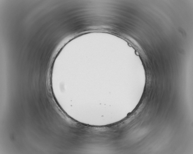 X0000111381196200908211333