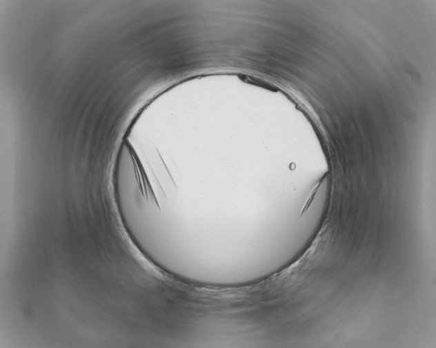 X0000111381197200908211333