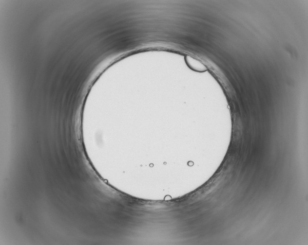 X0000111381199200908211333