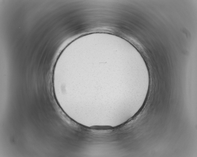 X0000111381200200908211333