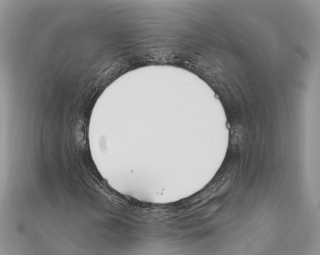 X0000111381202200908211332