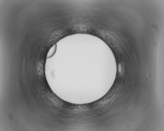 X0000111381203200908211332