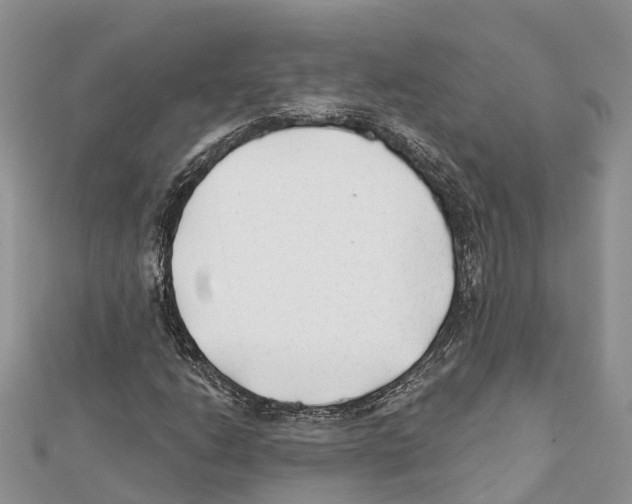 X0000111381206200908211332