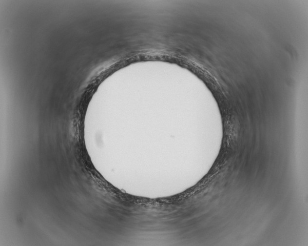 X0000111381207200908211332