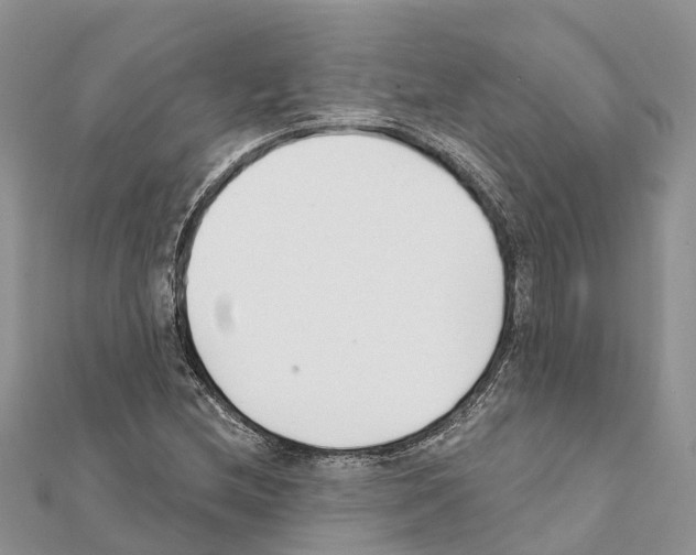 X0000111381212200908211332