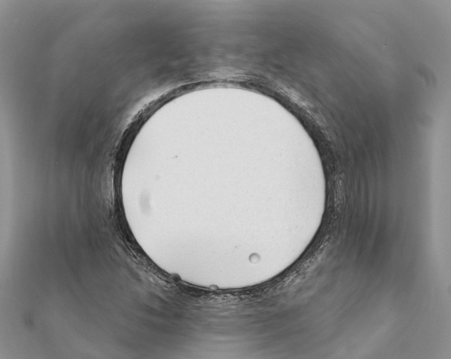 X0000111381214200908211332