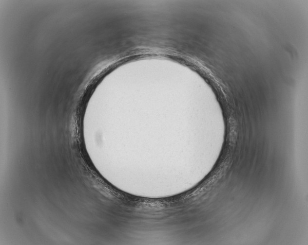 X0000111381215200908211332