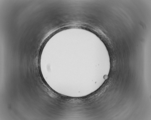 X0000111381216200908211332