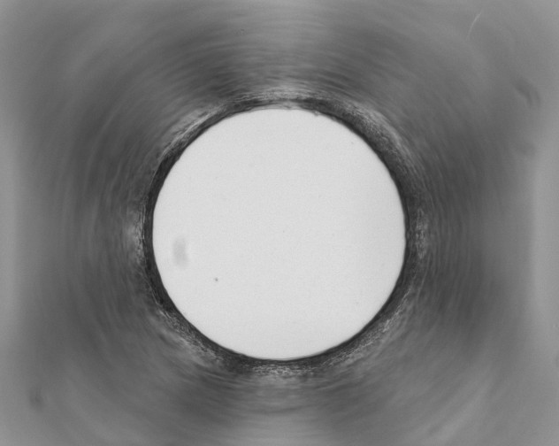 X0000111381217200908211332