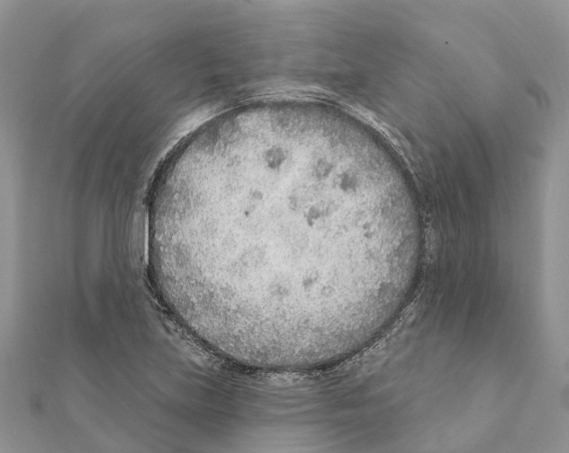 X0000111381219200908211333