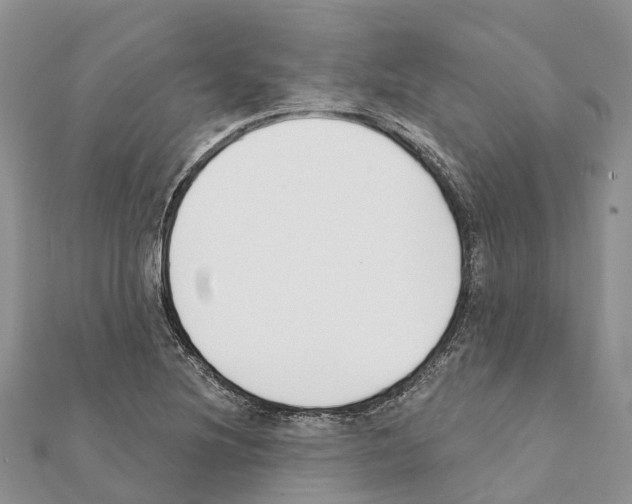 X0000111381220200908211333