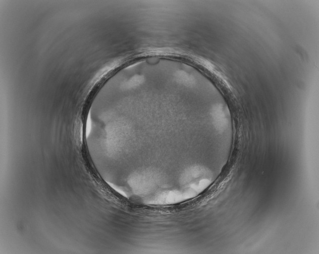 X0000111381221200908211333