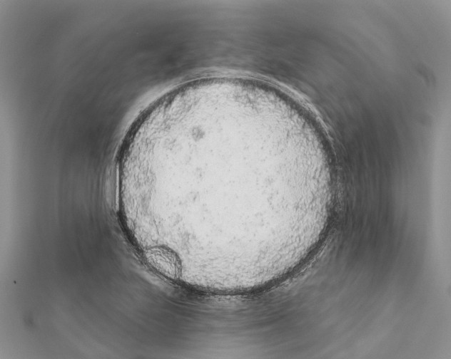 X0000111381223200908211333