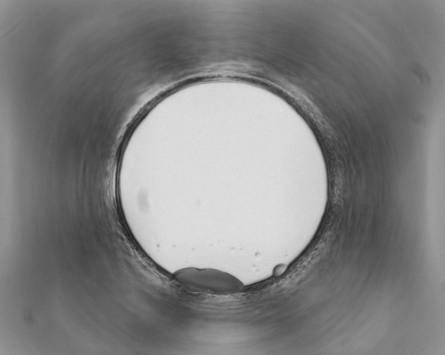 X0000111381224200908211333