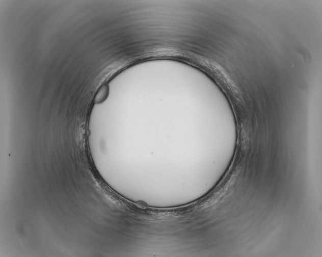 X0000111381225200908211333