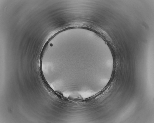 X0000111381226200908211333