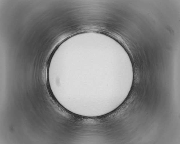 X0000111381227200908211333