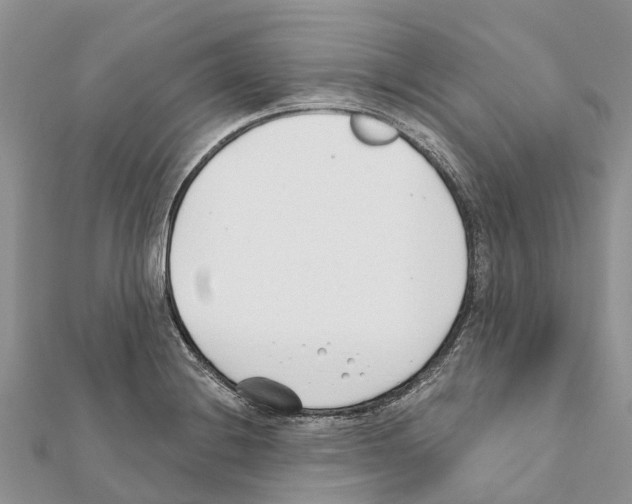 X0000111381228200908211333