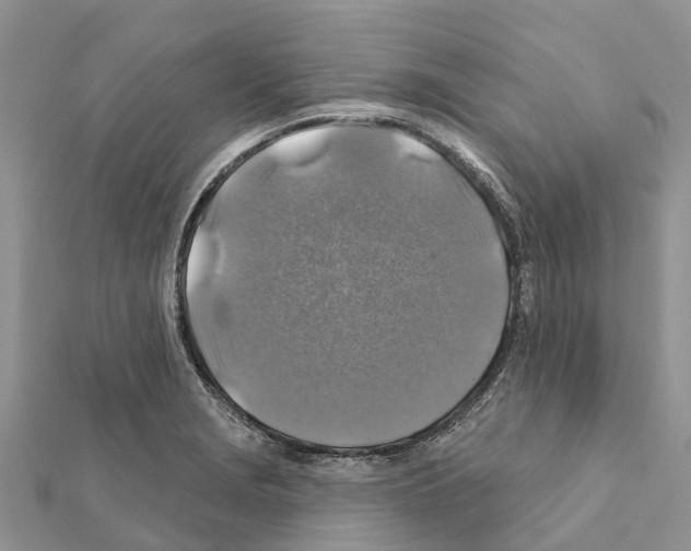 X0000111381229200908211333